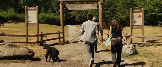 Um passeio em família