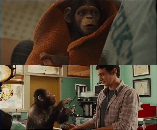 Caesar e o Dr. Rodman