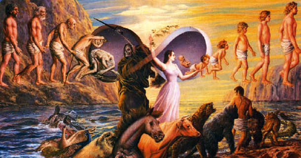 Ciclo da reencarnação