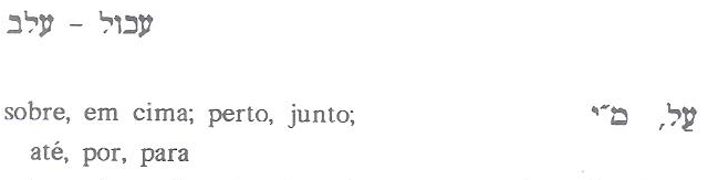 fac-símile do dicionário de Rifka Berezin